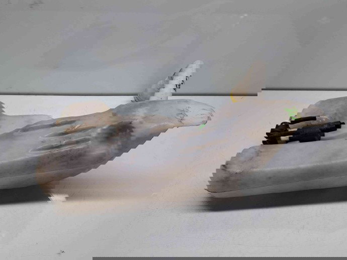  Vas lichid parbriz Renault Scenic 3 [Fabr 2009-2015] 289100014R