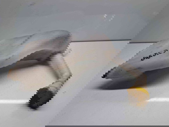  Vas lichid parbriz Renault Scenic 3 [Fabr 2009-2015] 289100014R