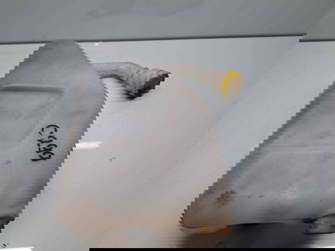  Vas lichid parbriz Renault Scenic 3 [Fabr 2009-2015] 289100014R