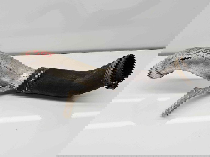 Tub intercooler  Chevrolet Captiva (T100) [Fabr 2006-2018] 22737401 2.2 CDTI A22DM 122KW / 166CP