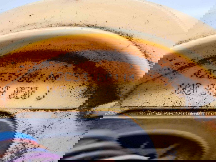 Pompa combustibil  Volkswagen Jetta 3  (1K2) [Fabr 2005-2010] 1K0919050J 1.6 TDI CAYC 77KW / 105CP