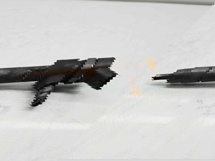 Injector Alfa Romeo 159 (939) [Fabr 2006-2011] 0445110244 1.9 939A7000 85KW / 116CP