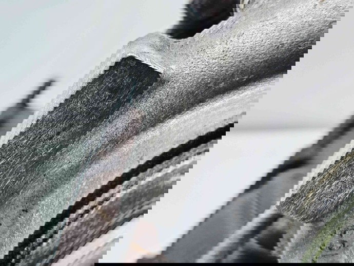 Turbina  Bmw 5 (E60) [Fabr 2004-2010] 7800594C 2.0 N47D 105KW / 143CP