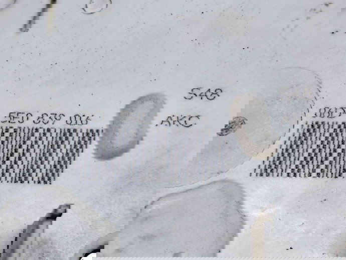 Broasca usa dreapta spate Skoda Rapid (NH3) [Fabr 2012-2019] 5E0839016