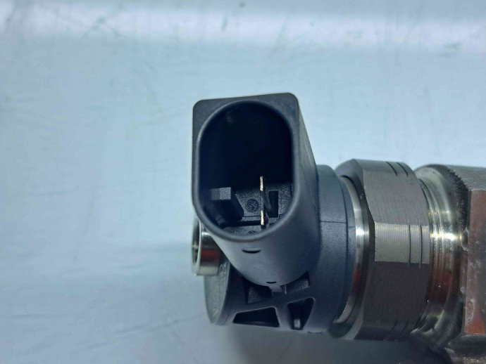 Injector Bmw X1 (F48) [Fabr 2016-2022] 0445110613-01 2.0 B47 110KW / 150CP