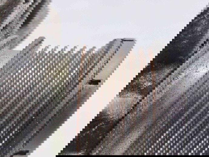 Alternator Mercedes Clasa E (W211) [Fabr 2002-2009] A6421540402 3.0 CDI 642920   