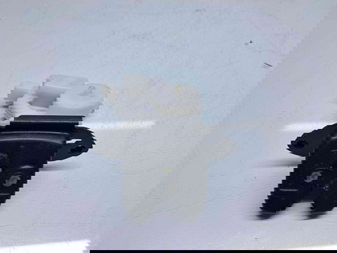 Broasca haion Renault Kadjar [Fabr 2015-prezent] OEM