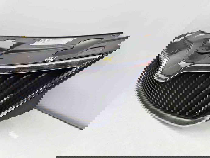 Grila bara fata Skoda Rapid (NH3) [Fabr 2012-2019] 5JA853668