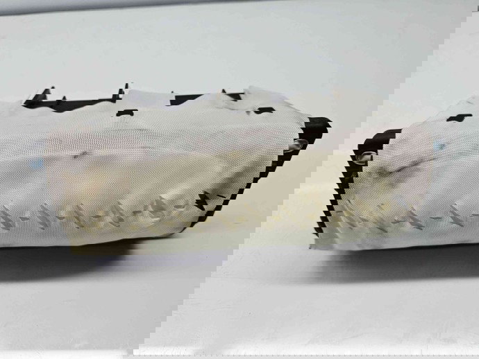  Airbag pasager Volkswagen Passat B7 (362) [Fabr 2010-2014] 3AA880204