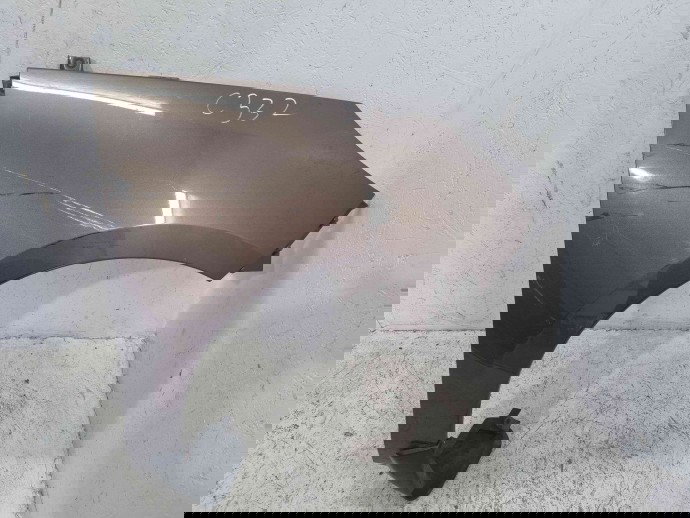 Aripa dreapta fata Renault Scenic 3 (J95) Facelift [Fabr 2009-2015] TECNB