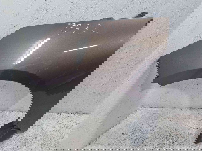 Aripa stanga fata Renault Scenic 3 (J95) Facelift [Fabr 2009-2015] TECNB