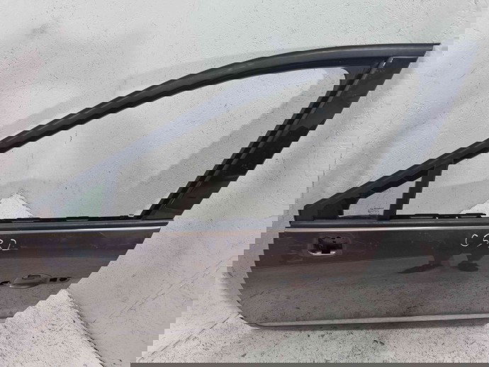 Usa stanga fata Renault Scenic 3 (J95) Facelift [Fabr 2009-2015] TECNB