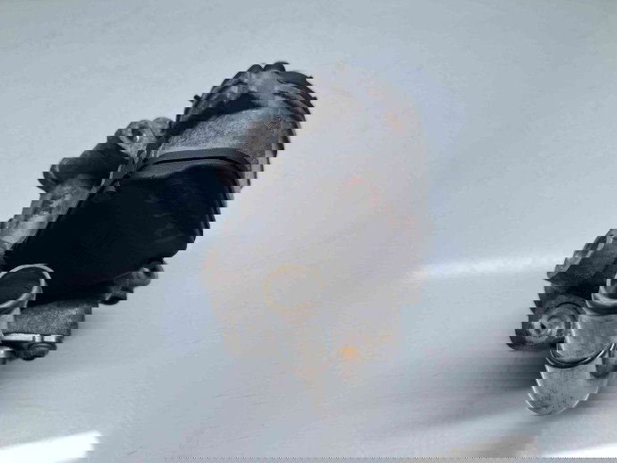 Supapa EGR Volkswagen Passat B8 (3G2) [Fabr 2015-prezent] 04L131501 2.0 TDI CRLB 110KW / 150CP