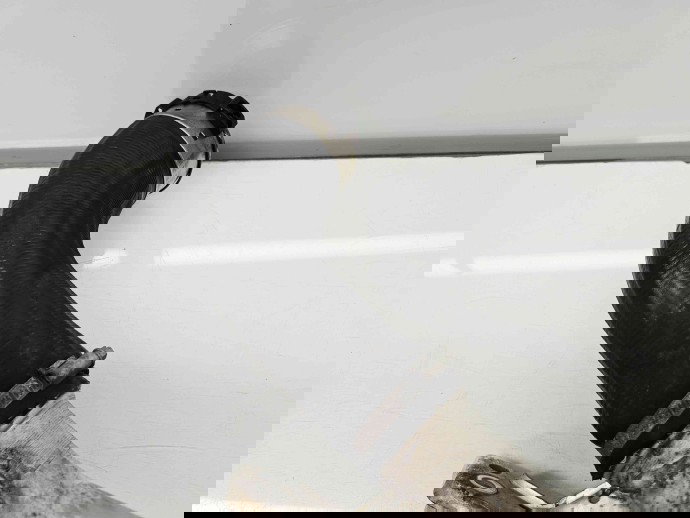 Tub intercooler Volvo V60 [Fabr 2010-2018] 31370288 2.0 D4204TS 133KW / 181CP