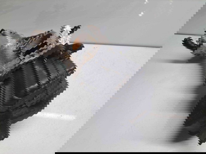 Racitor gaze Opel Insignia A Facelift [Fabr 2008-2016] 55567595 2.0 CDTI A20DTH 120KW / 163CP