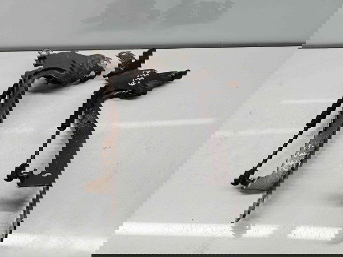 Set balamale capota Renault Scenic 3 (J95) Facelift [Fabr 2009-2015] TECNB