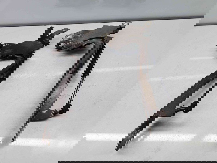 Set balamale capota Renault Scenic 3 (J95) Facelift [Fabr 2009-2015] TECNB