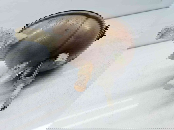 Vas expansiune Mercedes Clasa E (W212) AMG [Fabr 2009-2016] A2045000549