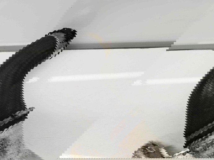 Tub intercooler  Volvo XC60 [Fabr 2008-2017] 31370288 2.0 D4204TS 133KW / 181CP