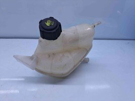 Vas expansiune Renault Kadjar [Fabr 2015-prezent] OEM