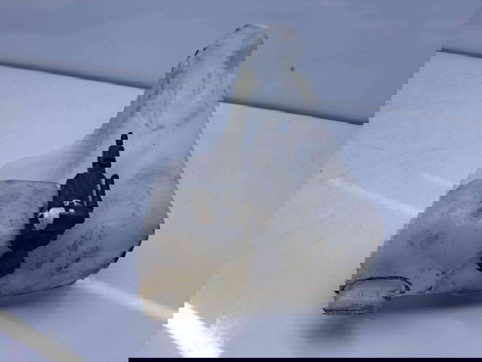  Vas lichid parbriz Renault Scenic 3 (J95) Facelift [Fabr 2009-2015] 289101579R