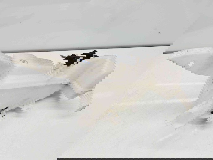  Vas lichid parbriz Renault Kadjar [Fabr 2015-prezent] 289100390R