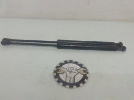 Amortizoare capota BMW Seria 3 320 [E90] 2.0 TDI M47 7060550 2005-2011