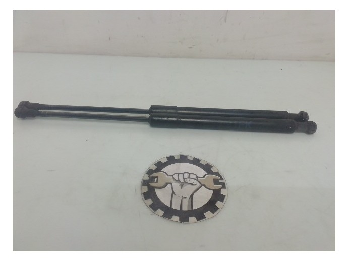 Amortizoare capota BMW Seria 3 320 [E90] 2.0 TDI M47 7060550 2005-2011