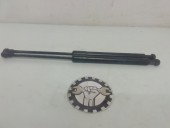 Amortizoare capota BMW Seria 3 320 [E90] 2.0 TDI M47 7060550 2005-2011