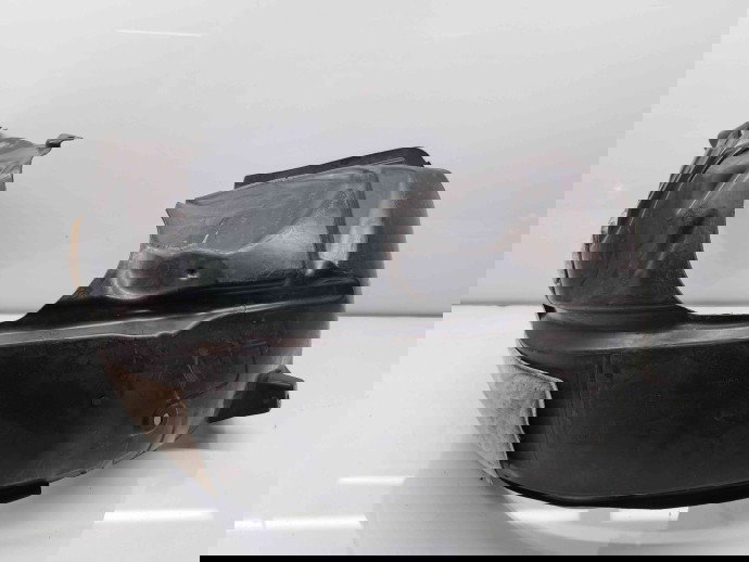 Carenaj roata dreapta fata Ford Fiesta 8 [Fabr 2017-2025] H1BB-16114-AE