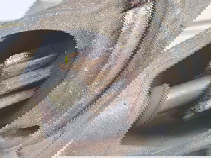  Electromotor 9 dinti Bmw 3 (E46) [Fabr 1998-2005] 7505979 2.0 N42 105KW / 143CP  