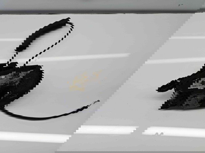 Broasca usa dreapta fata Renault Scenic 3 [Fabr 2009-2015] 805020007R