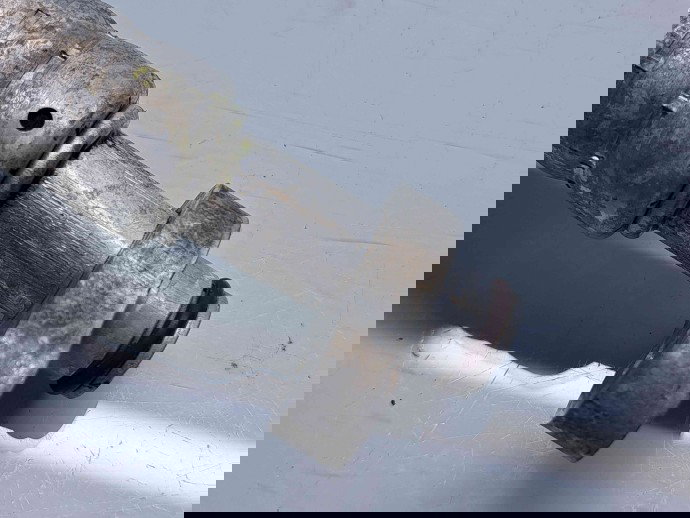 Conducta AC Mercedes Clasa E T-Model (S211) [Fabr 2003-2009] Facelift OEM 2.2 CDI 646821 125KW / 170CP