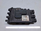  Panou sigurante Renault Scenic 3 [Fabr 2009-2015] 243800010R 