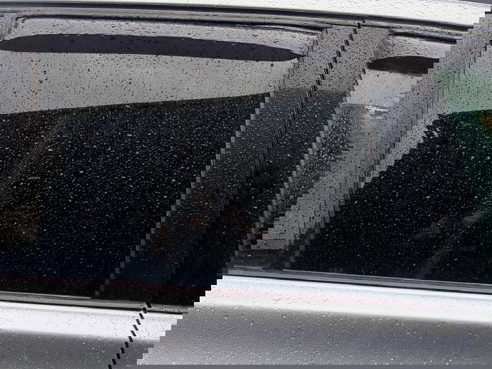 Geam usa dreapta spate Bmw X3 (E83) [Fabr 2003-2009] 2.0 N47D 130 KW / 177 CP