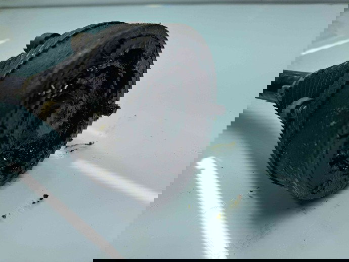 Planetara stanga fata Volkswagen Golf 6 (5K1) [Fabr 2009-2013] 1K0407271AT 1.6 TDI CAYB 66KW / 90CP