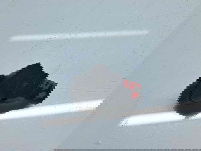  Senzor parcare Mercedes Clasa C Coupe (C204) Facelift AMG [Fabr 2011-2015] A2125420018