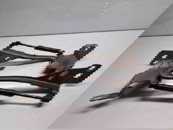 Set balamale capota Renault Scenic 3 [Fabr 2009-2015] 654010004R / 654000004R