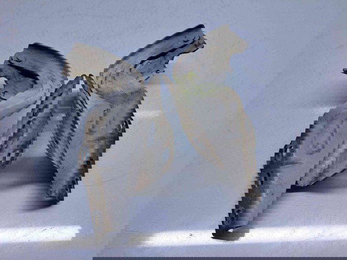 Set balamale capota Seat Ibiza 5 (6J5) [Fabr 2008-2017] 6J0823302A / 6J0823301A