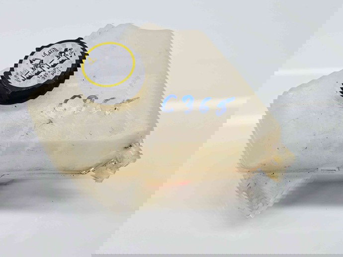 Vas expansiune Ford Fiesta 6 [Fabr 2008-2019] 8V21-8K218 B