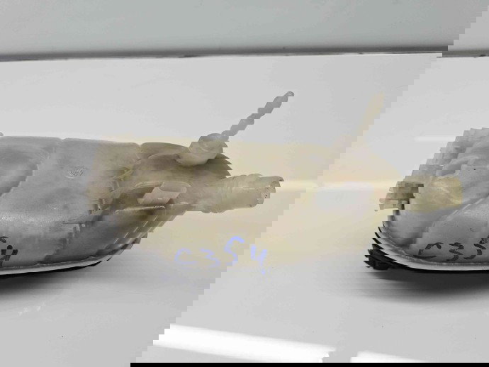 Vas expansiune Mercedes Clasa A (W176) [Fabr 2012-2018] A246 500 00 49