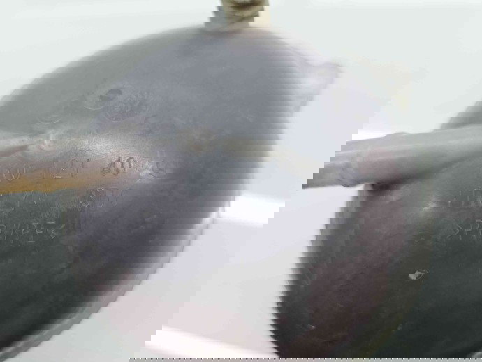 Vas expansiune Seat Leon (1P1) FR [Fabr 2005-2011] 1K0121407 A