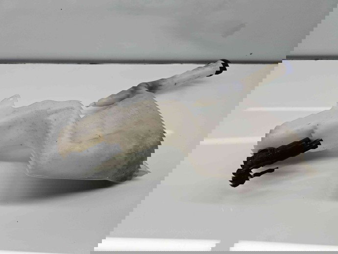  Vas lichid parbriz Ford Fiesta 6 [Fabr 2008-2019] 8A61 17B613-AE