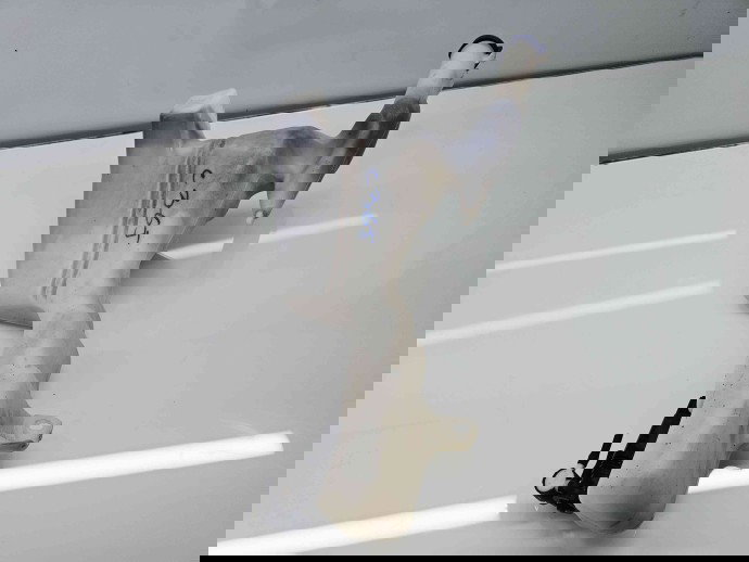  Vas lichid parbriz Ford Fiesta 6 [Fabr 2008-2019] 8A61 17B613-AE