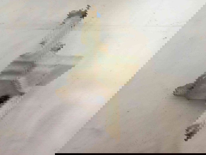 Vas lichid parbriz 3C0955453P Volkswagen Passat B6 2.0 BKP 2005-2010