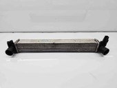 Radiator intercooler Volkswagen Polo (6R) [Fabr 2009-2016] OEM 1.2 TDI CFWA 55KW / 75CP