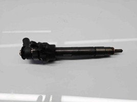 Injector  Bmw 5 (F10) [Fabr 2011-2016] 7798446 06 2.0 N47N 105KW / 143CP