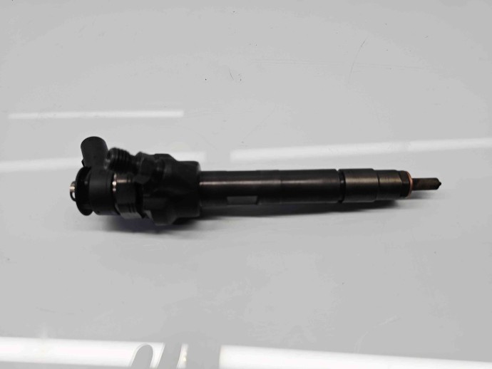 Injector  Bmw 5 (F10) [Fabr 2011-2016] 7798446 06 2.0 N47N 105KW / 143CP