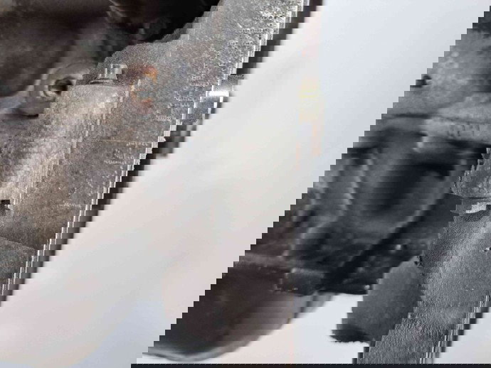 Motor complet ambielat Ford Fiesta 6 [Fabr 2008-2019] TZJA 1.4 TDCI F6JD 50KW / 68CP