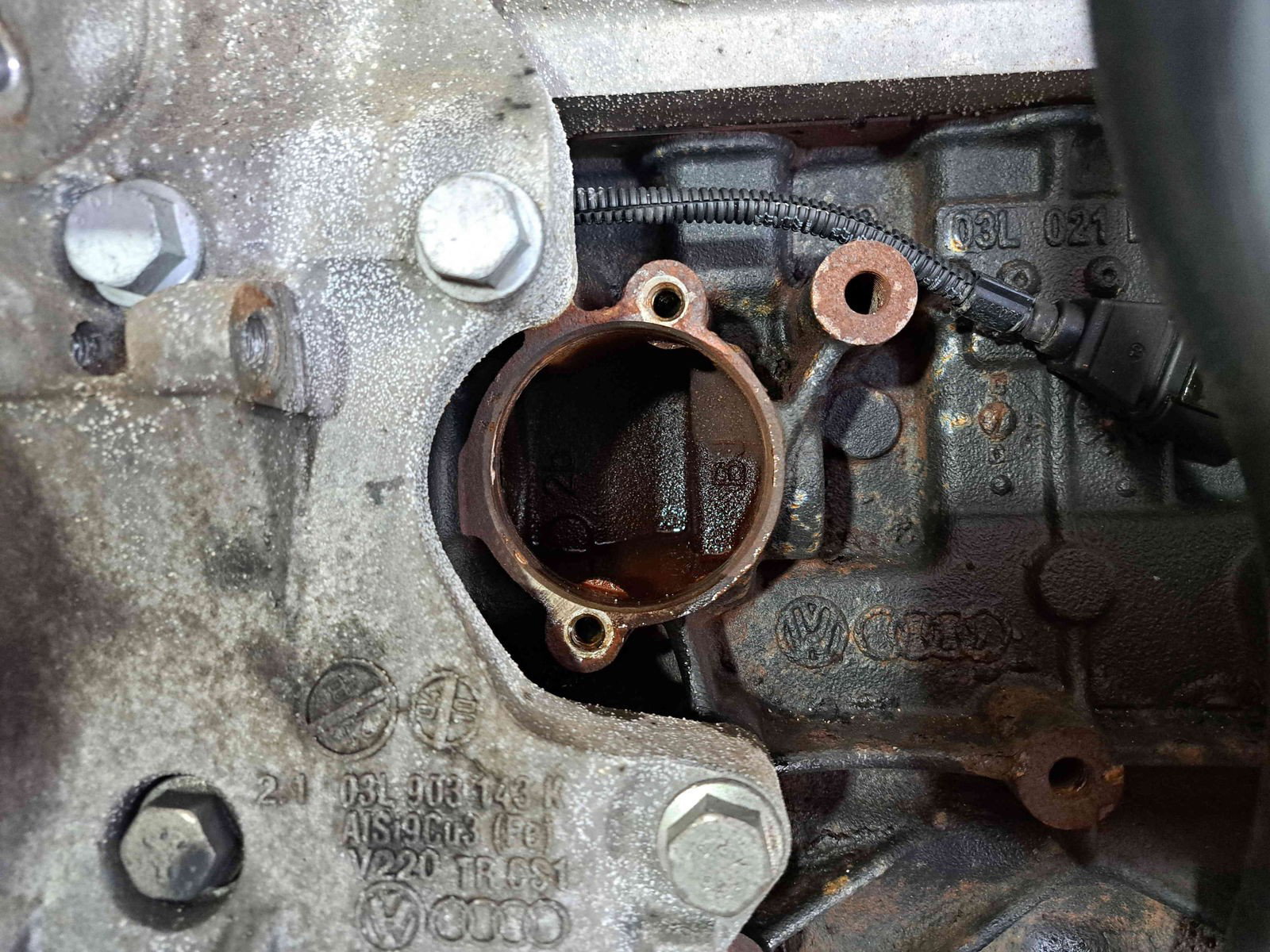 Motor complet ambielat Skoda Octavia 2 (1Z3) [Fabr 2004-2013] CAY 1.6 TDI CAYB 66KW / 90CP - imagine 8